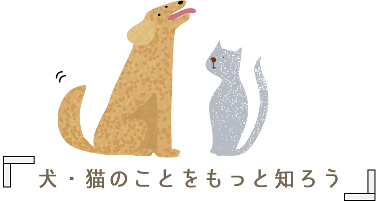 犬・猫のことをもっと知ろう