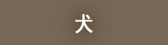 犬